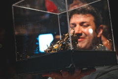 Copia-de-VIC_1345-Aprimorado-NR